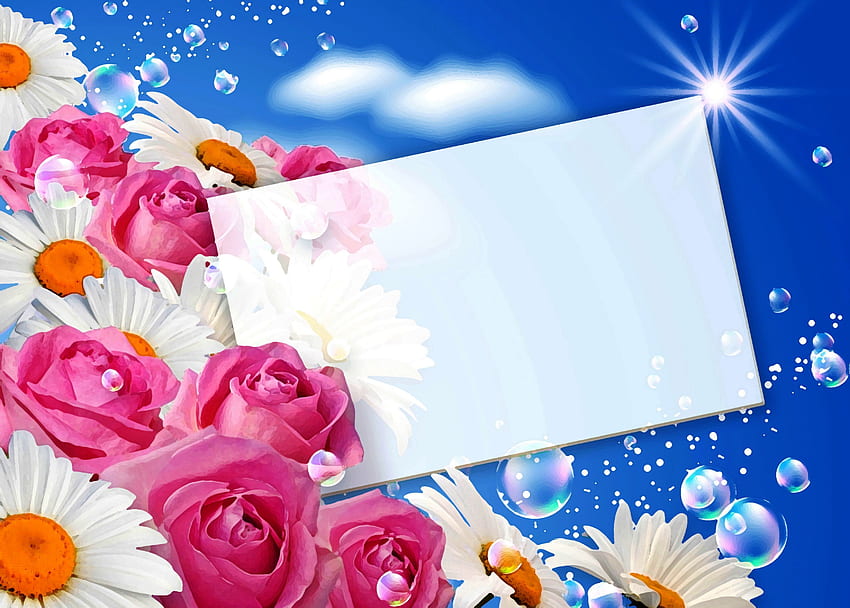 JUST FILL in THE BLANK!, background, rose, design, card, beautiful, gift HD wallpaper