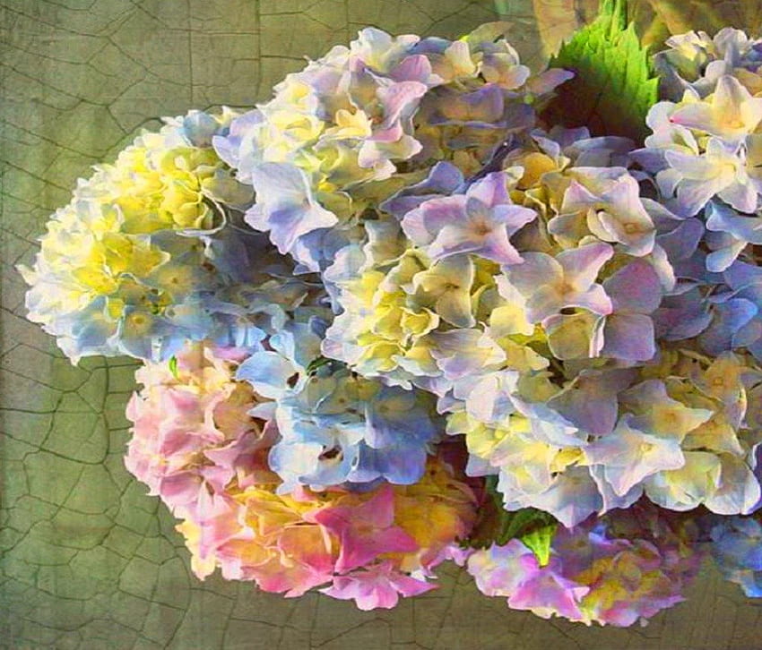 Pastel blooms, blue, pink, hydrangea, yellow, green, flowers, mauve, pastels HD wallpaper