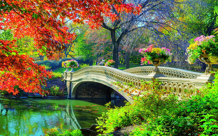 Bridge Central Park Spring Flower Tree Garden - Resolution: HD wallpaper