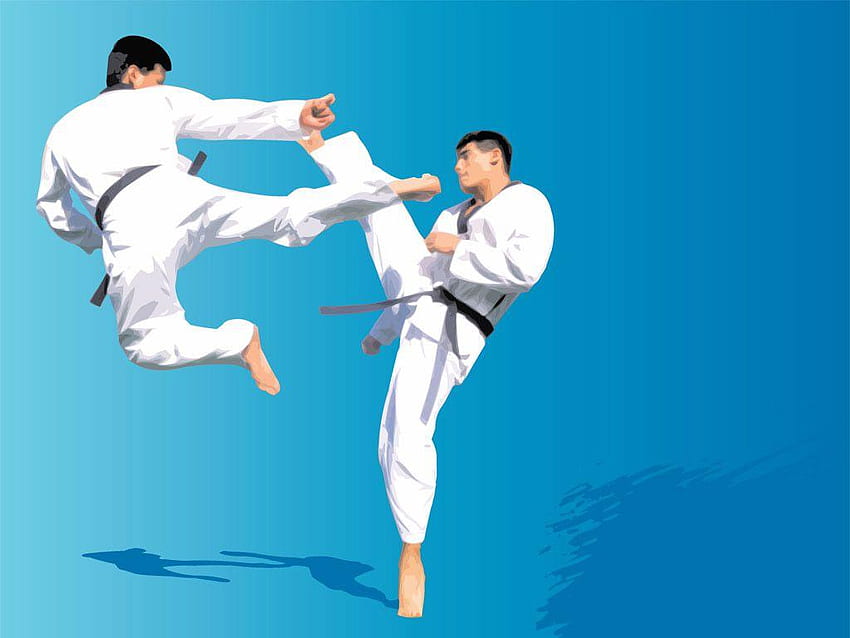 Karate Kick PC, Taekwondo Kick HD wallpaper