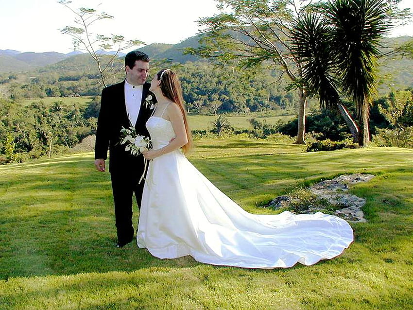 Сватбен ден, трева, булка, любов, младоженец HD тапет