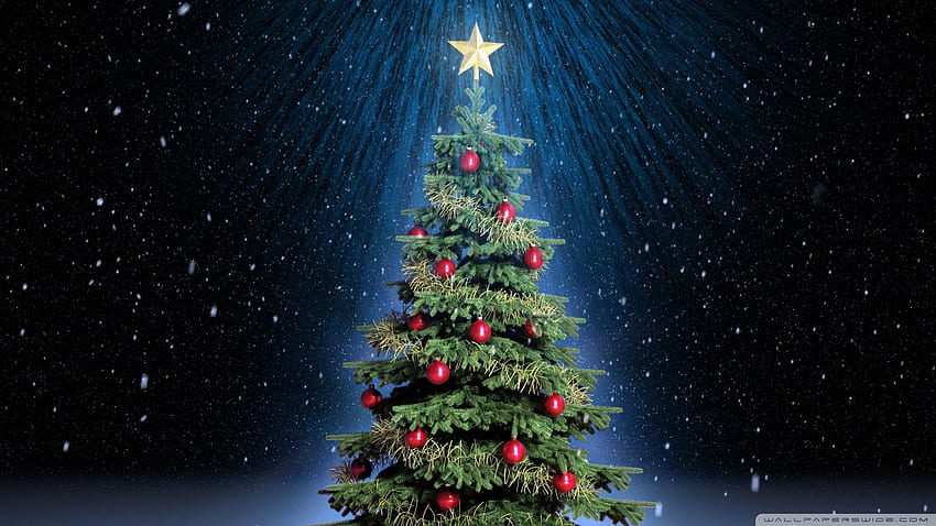 Classic Christmas Tree ❤ for Ultra TV, 16 9 Christmas HD wallpaper