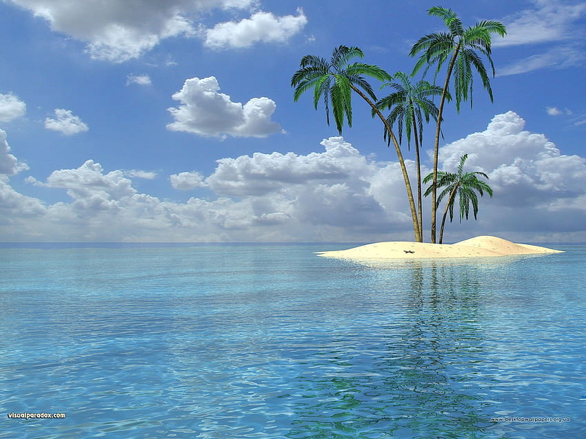Landscape, Water, Trees, Sea, Palms, Summer HD wallpaper