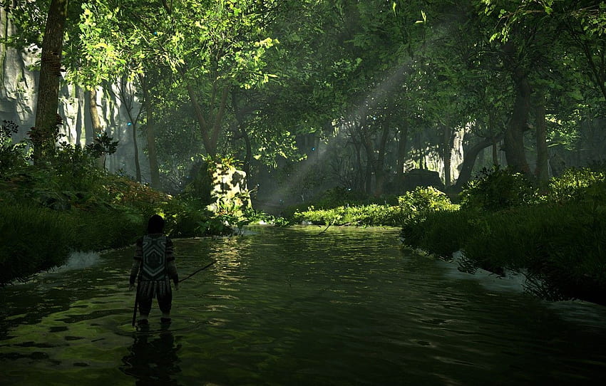 las, drzewa, rzeka, Shadow of the Colossus, W cieniu kolosa dla , sekcja игры, Shadow People Tapeta HD