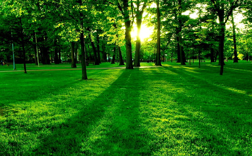 Nature Green Landscape . Plus, Green Color HD wallpaper