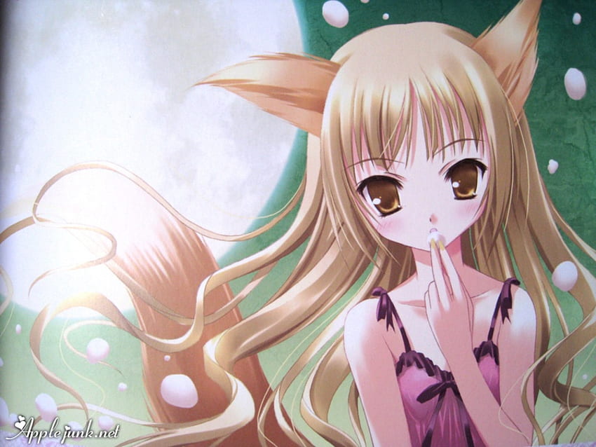 Caucasian Fox, beatiful, cute, anime, fox HD wallpaper