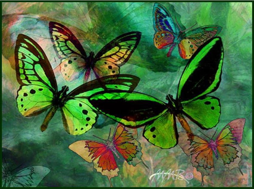 Green Butterfly Fantasy, motyle, zielone tło, art Tapeta HD