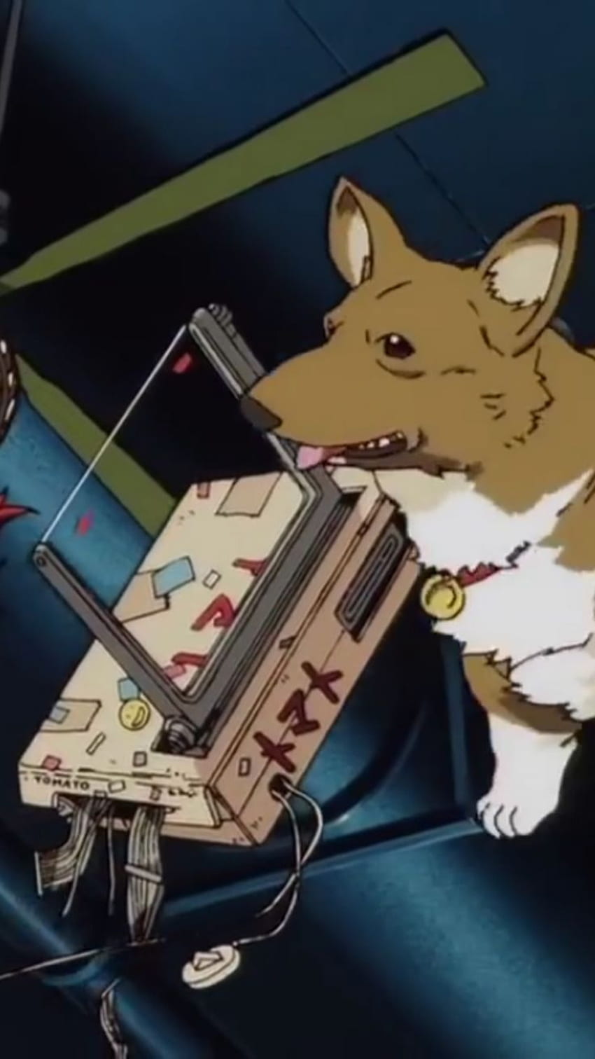 Ed and Ein spinoff? Will it ever happen? : r/cowboybebop