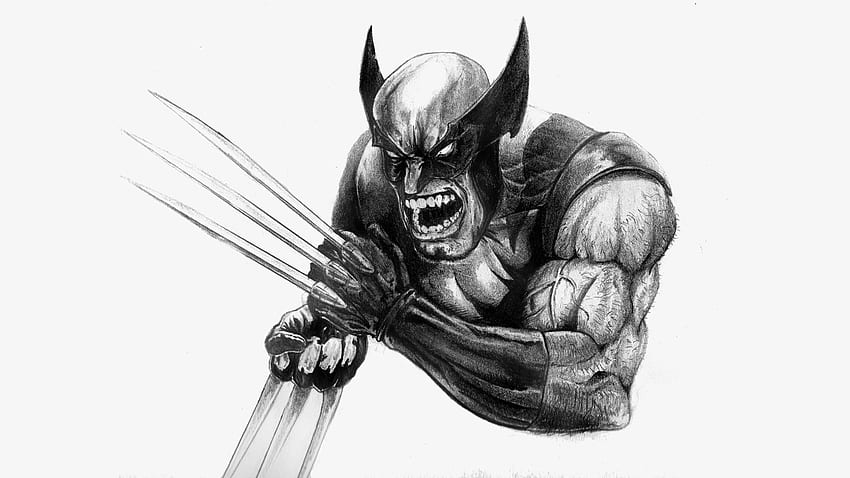 FzSketcho on Twitter Pencil sketch of the One and only Logan wolverine  by me All time favourite RealHughJackman Sir this ones for uh Love  from India  httpstcowTQ2FK3Gz4  X