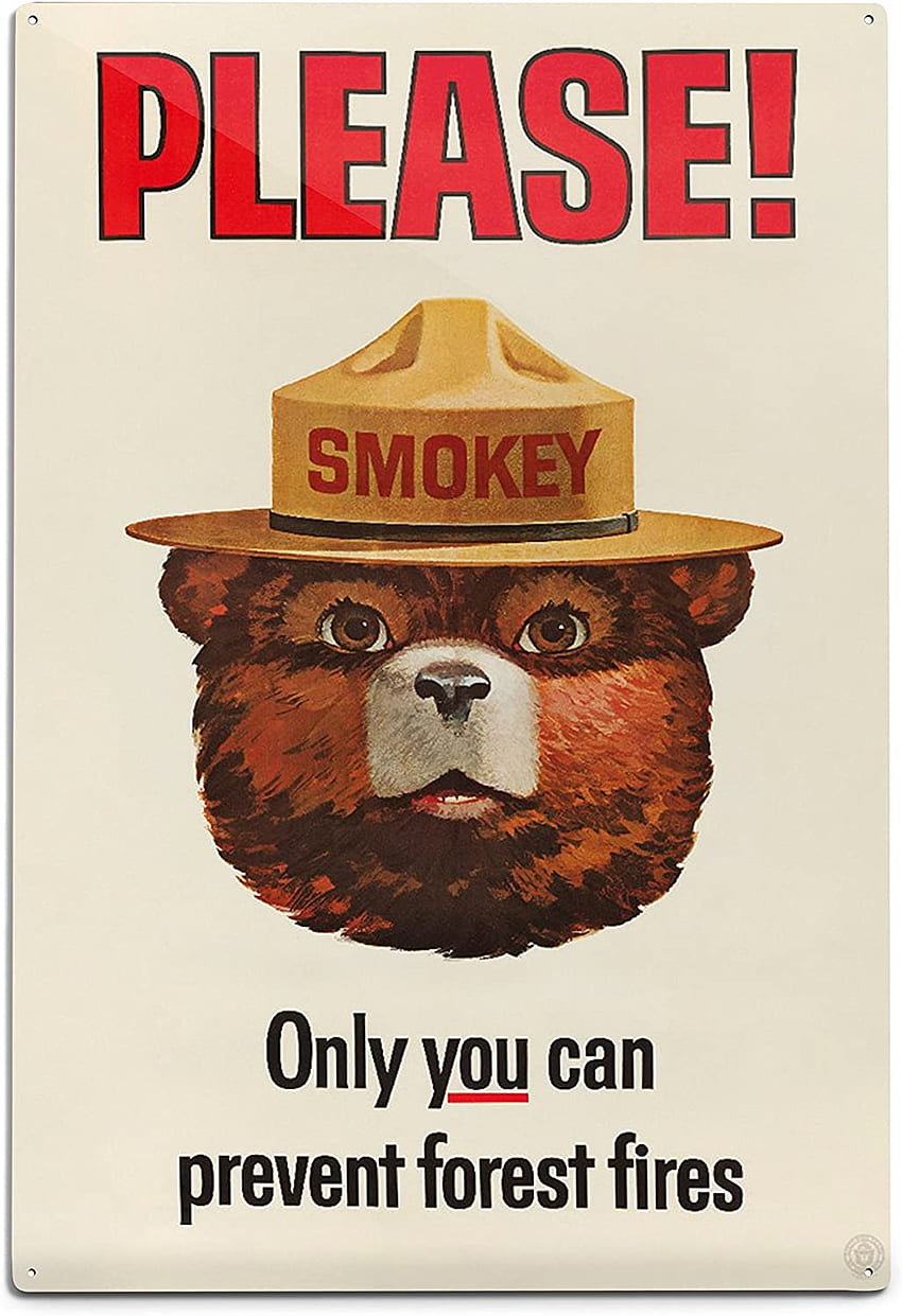 スモーキー ベア ビンテージ ポスター、Only You Can Prevent Forest Fires (ウォール アート ポスター、デジタル プリント デコレーション): ポスター & プリント、スモーキー ザ ベア HD電話の壁紙