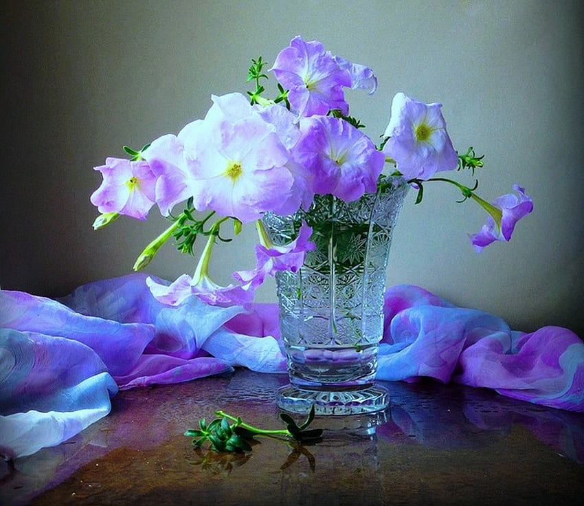 Petunia, table, crystal, garden, floral, vase, bleu, purple, still life, freshness, nature, flowers HD wallpaper