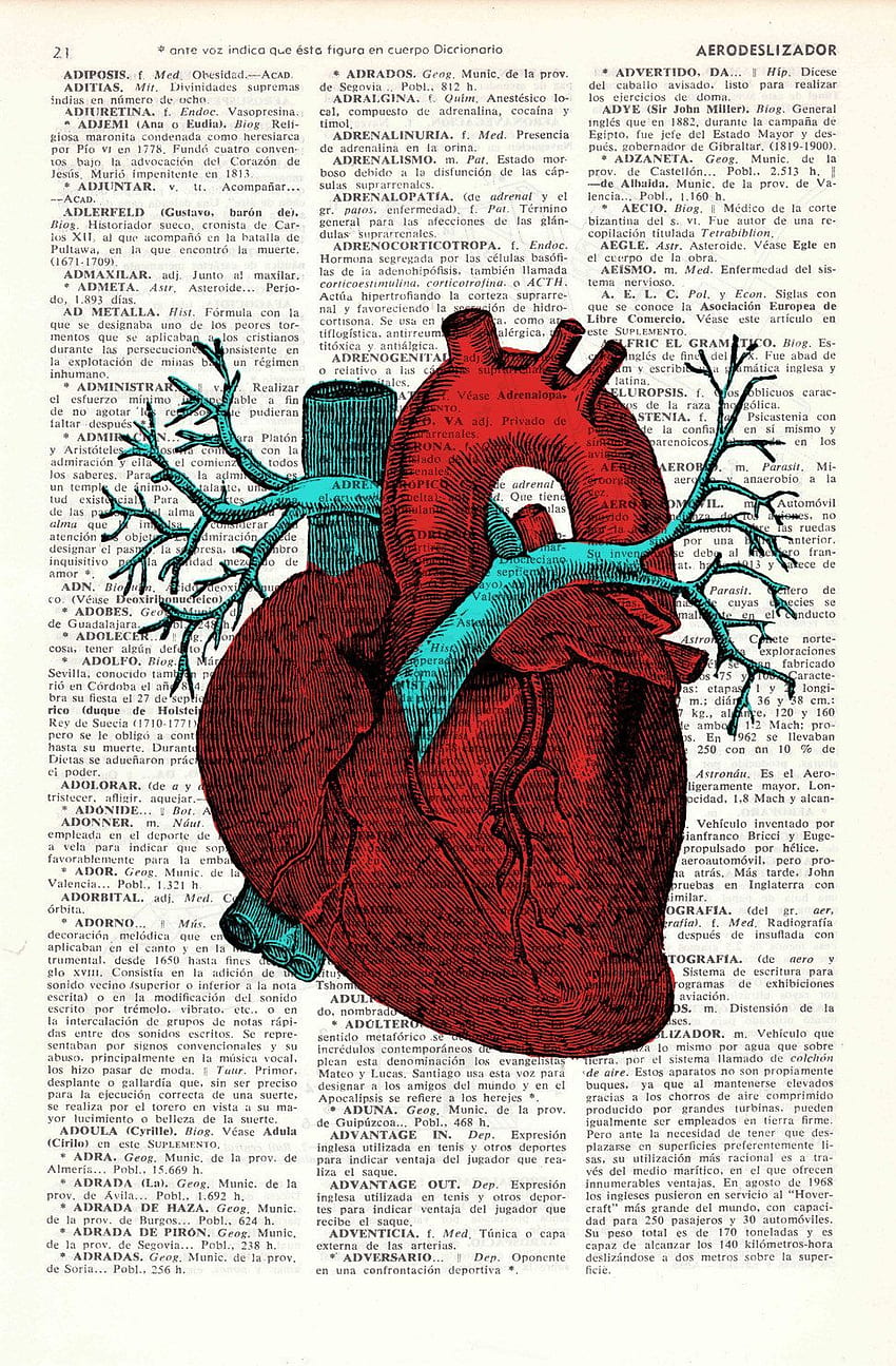 Jessie Calihan on Home. Anatomy art, Heart wall art, Heart, Anatomical Heart HD phone wallpaper