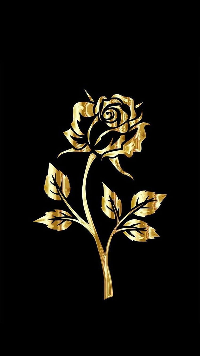 Black and Gold iPhone Black and Gold 6 Plus HD phone wallpaper  Pxfuel