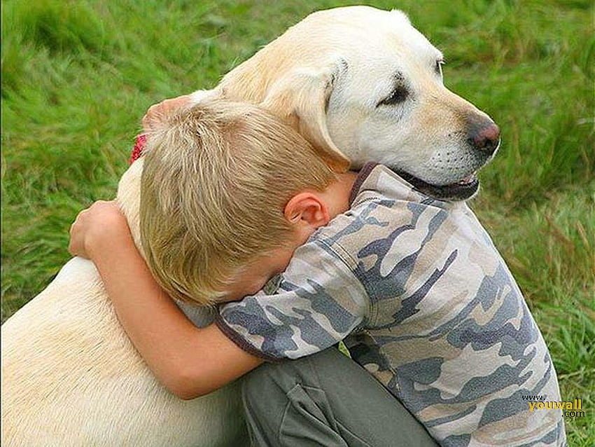 Sweel フレンド子犬、犬、子犬、ラブラドール、男の子、愛、抱擁、草 高画質の壁紙