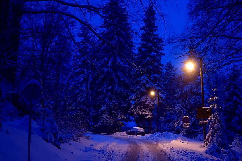 Invierno, noche, farolas, camino. fondo de pantalla
