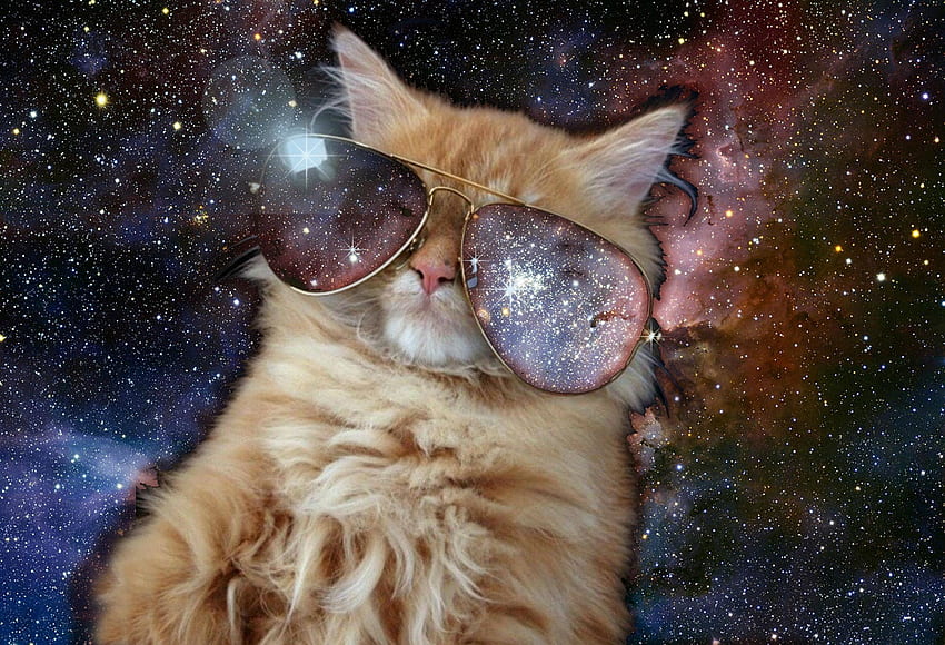 Space Cat Tumblr แมวอวกาศ วอลล์เปเปอร์ HD