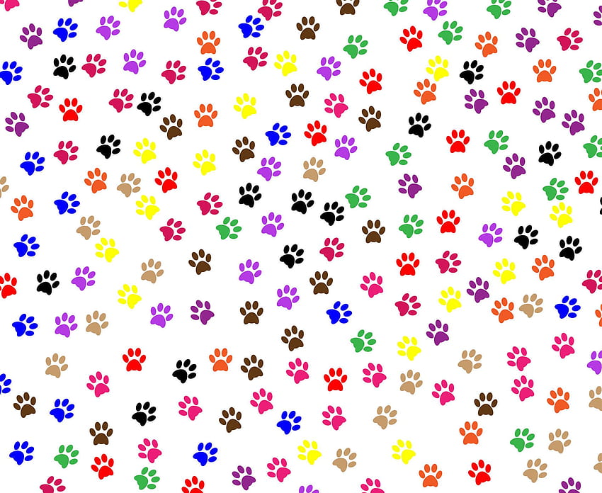 Dog Paws, Dog Pattern HD wallpaper
