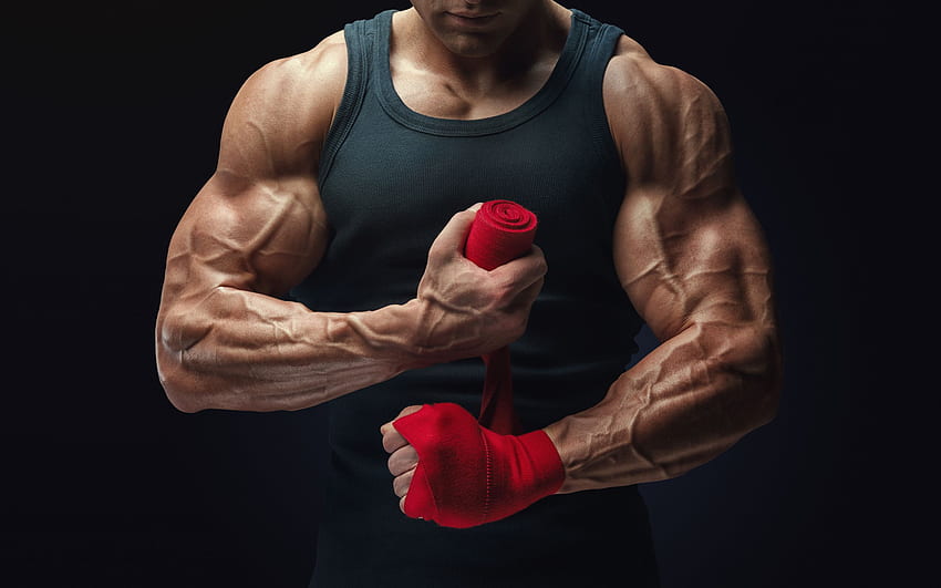 bodybuilding, gym, athlete, bodybuilder, Biceps HD wallpaper