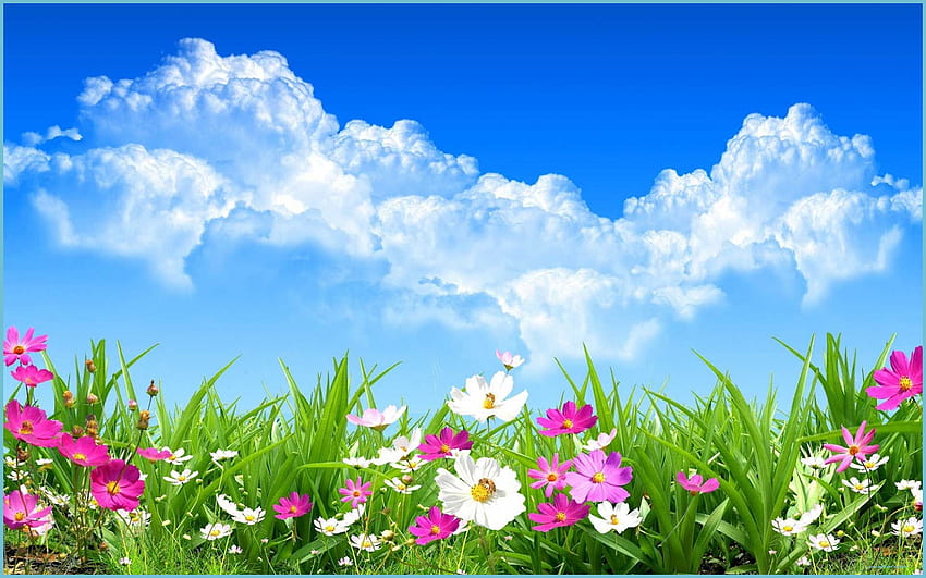 Spring Day Wide Background - 10 - Spring Background HD wallpaper