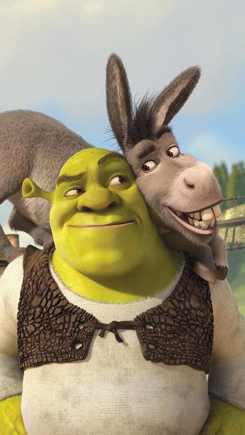 Meme, funny, shrek, HD phone wallpaper