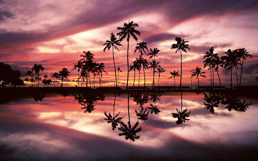 matahari terbenam di atas taman pantai ala moana honolulu oahu hawaii jpg [] untuk , Seluler & Tablet Anda. Jelajahi Matahari Terbenam Hawaii. Maui Hawaii, Matahari Terbenam Wallpaper HD