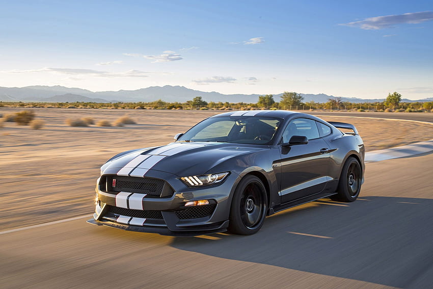 Ford Mustang Shelby Gt350 - 2018 Ford Shelby Gt350r HD тапет