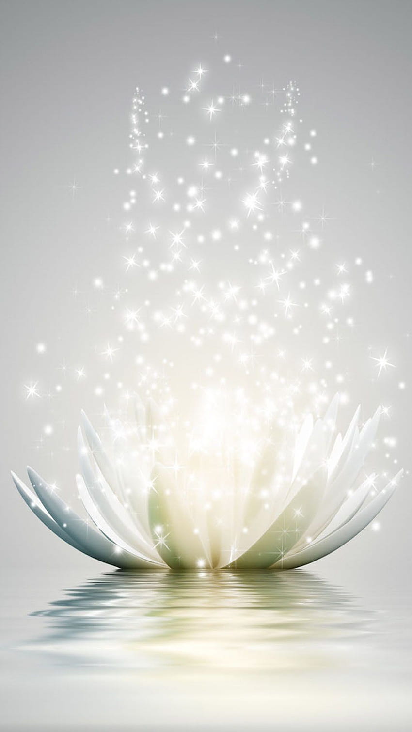 Lotus iPhone 38 Lotus Flower Lotus - Лотос, бяло цвете HD тапет за телефон