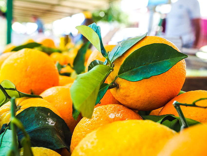 Oranges, nourriture, marché, graphie, santé, feuilles, agrumes, vert, vit c, , vitamines, médicinales Fond d'écran HD