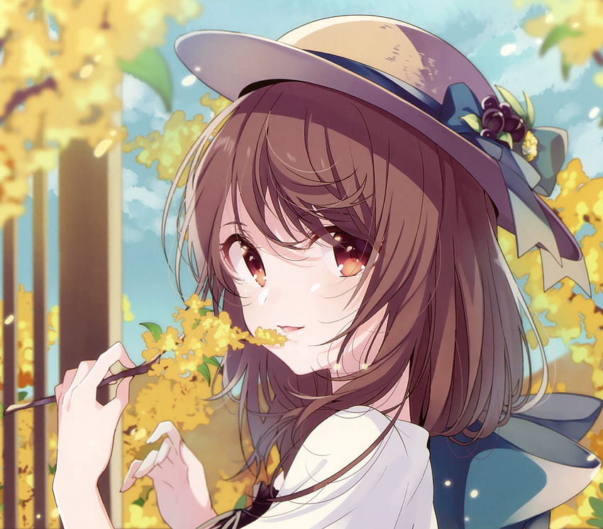Autumn, tree branch, anime girl, cute HD wallpaper