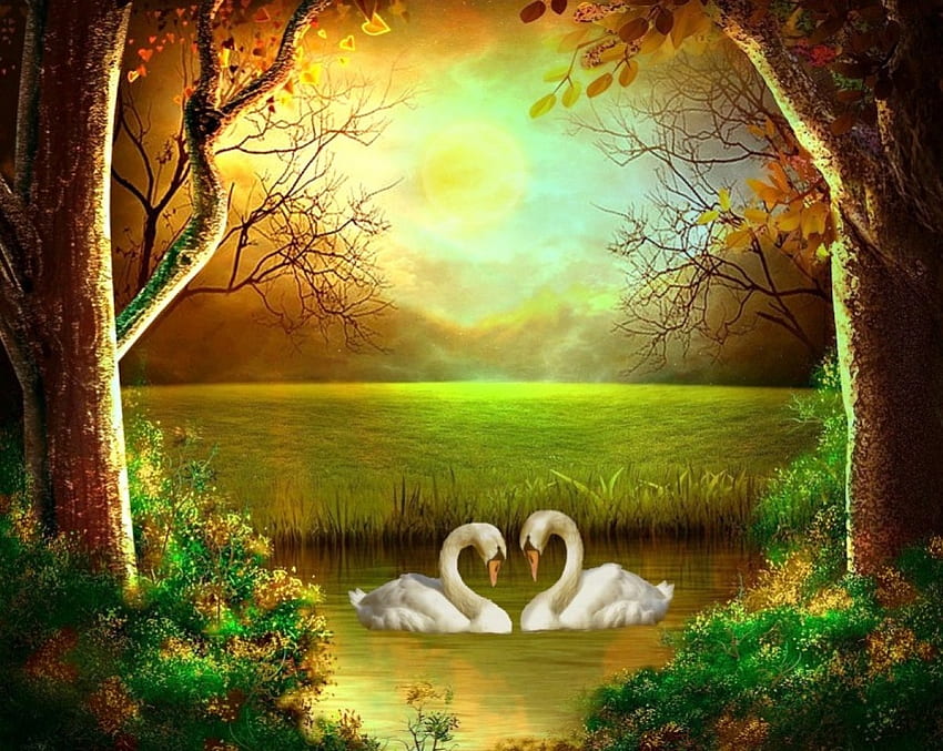 White Swan Wallpaper 4K, Love Birds, Heart shape, #5487