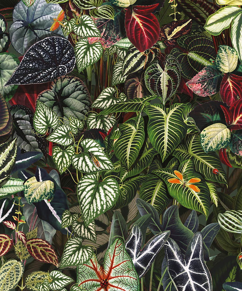 Vert • Lush Botanical • Milton & King AUS, Jungle Green Fond d'écran de téléphone HD