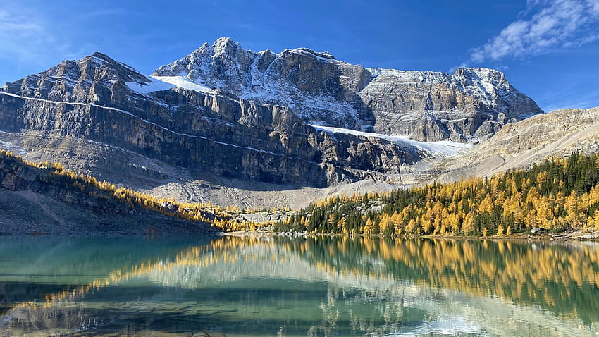 Myosotis Lake in Banff National Park, sky, alberta, canada, mountains, fall, colors, landscape, reflection, snow, autumn, water HD wallpaper