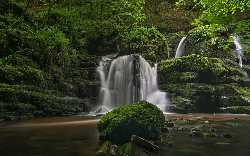 Wodospad, natura, skała, drzewo Tapeta HD