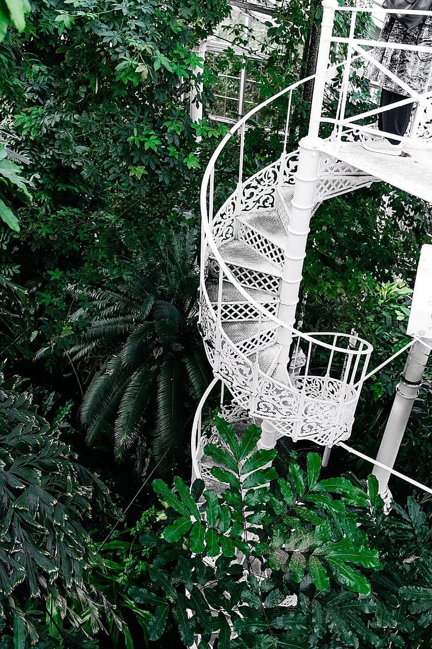 : spiral white steel stair, staircase, circular, Botanical Garden HD phone wallpaper