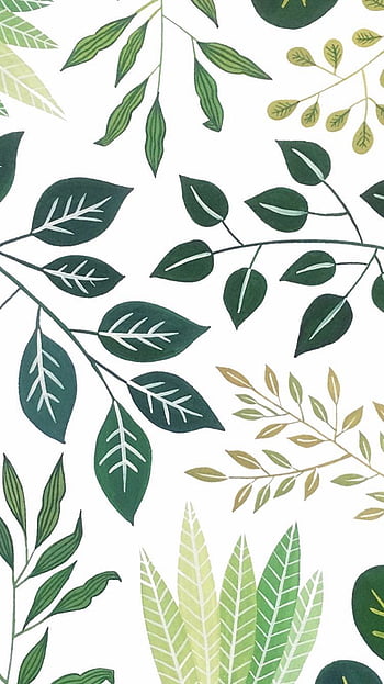 Aesthetic cute green plant wallpaper Sticker for Sale by PastelPaletteD   Redbubble