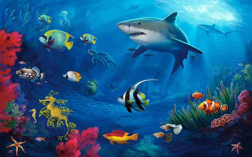 海の海の生物、海の野生生物 高画質の壁紙