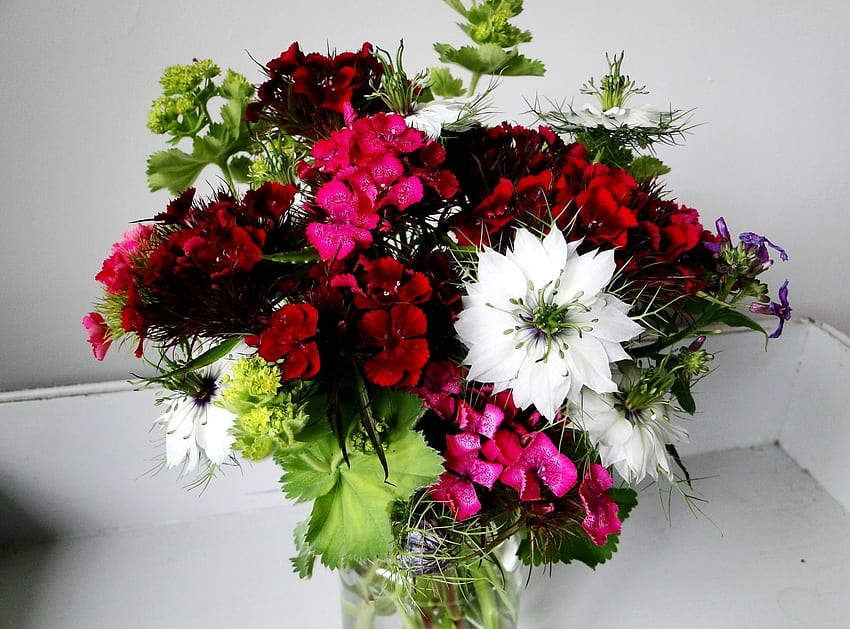 Flowers, Carnations, Bouquet, Handsomely, It's Beautiful, Nigella HD wallpaper