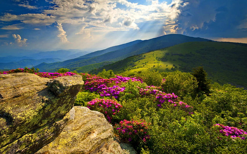 Blue Ridge Mountains Mountains Nature []、モバイル、タブレット用。 ブルー リッジ パークウェイを探索します。 ブルー マウンテン、ブルー、ブルー リッジ山脈バージニア州 高画質の壁紙