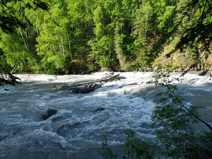 Eagle River, Alaska, rzeka, płynąca, Alaska, skały, zieleń, drzewa, natura, woda, las Tapeta HD