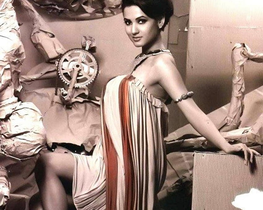 sonal chauhan, model, brunette, beautiful, indian, woman, female HD wallpaper