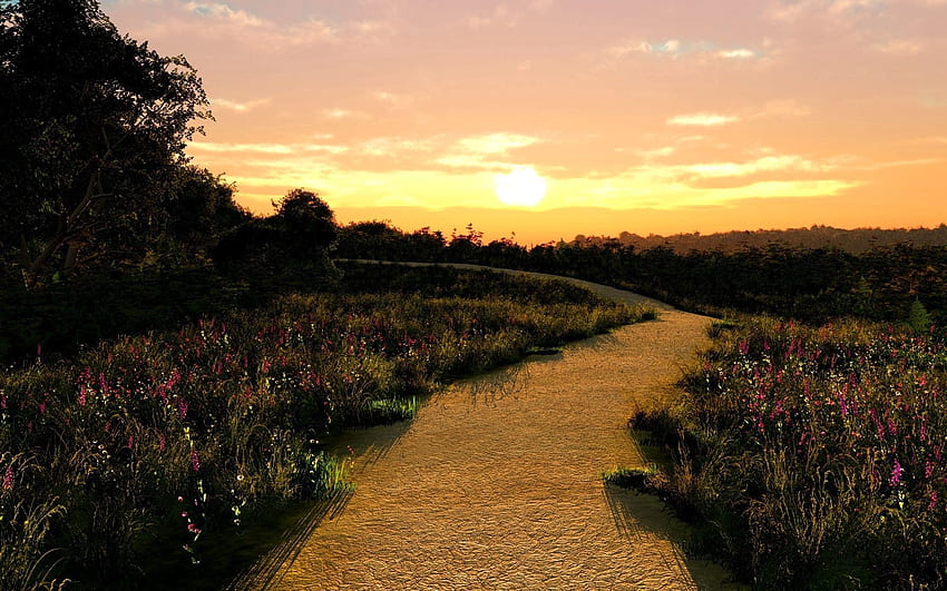 Natura, fiori, tramonto, strada, sentiero, sentiero, giardino anteriore Sfondo HD