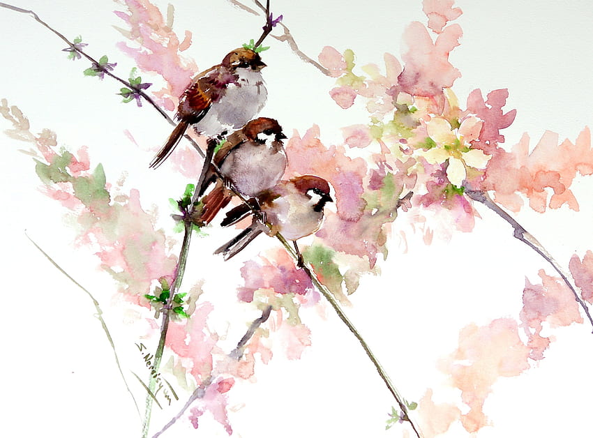 Sparrows, chinese, pasari, spring, blossom, art, bird, pink, painting, sparrow, flower, pictura HD wallpaper