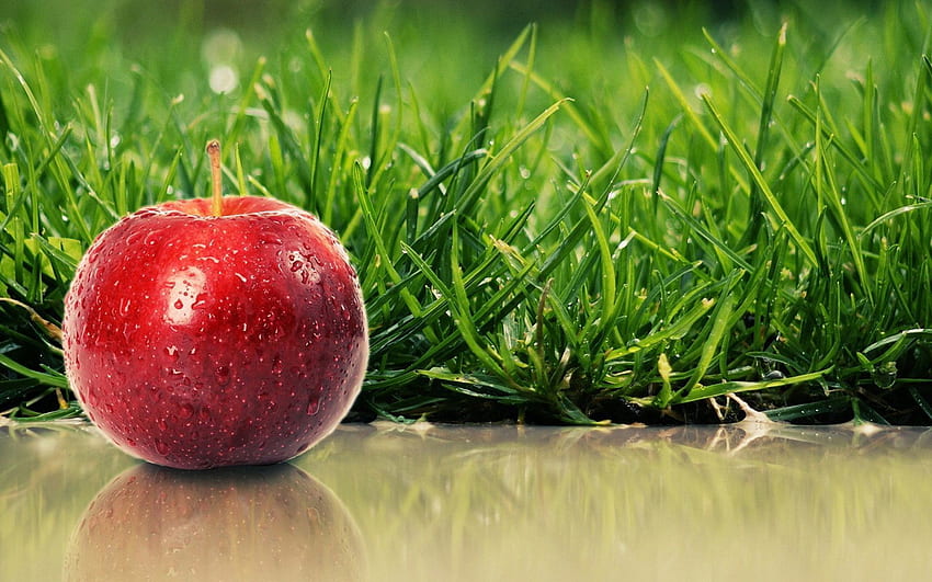 Lebensmittel, Gras, Apfel, reif HD-Hintergrundbild