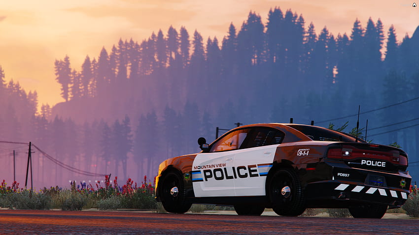 GTA RP, GTA 5 Polizei HD-Hintergrundbild