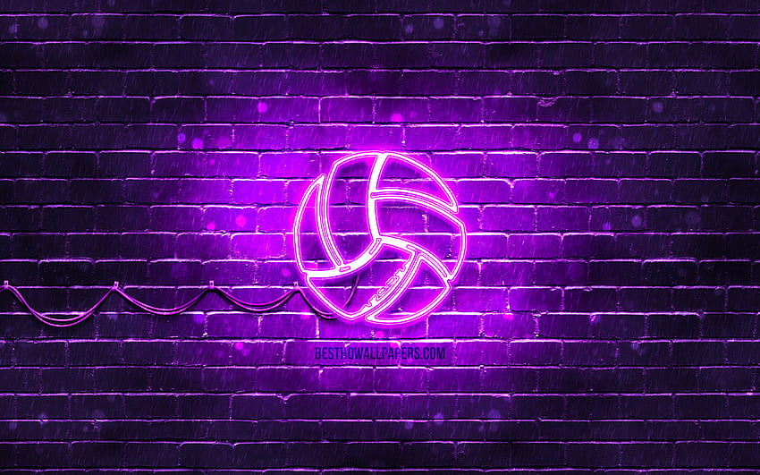 Volleyball neon icon, , violet background, neon symbols, Volleyball, neon icons, Volleyball sign, sports signs, Volleyball icon, sports icons for with resolution . High Quality HD wallpaper