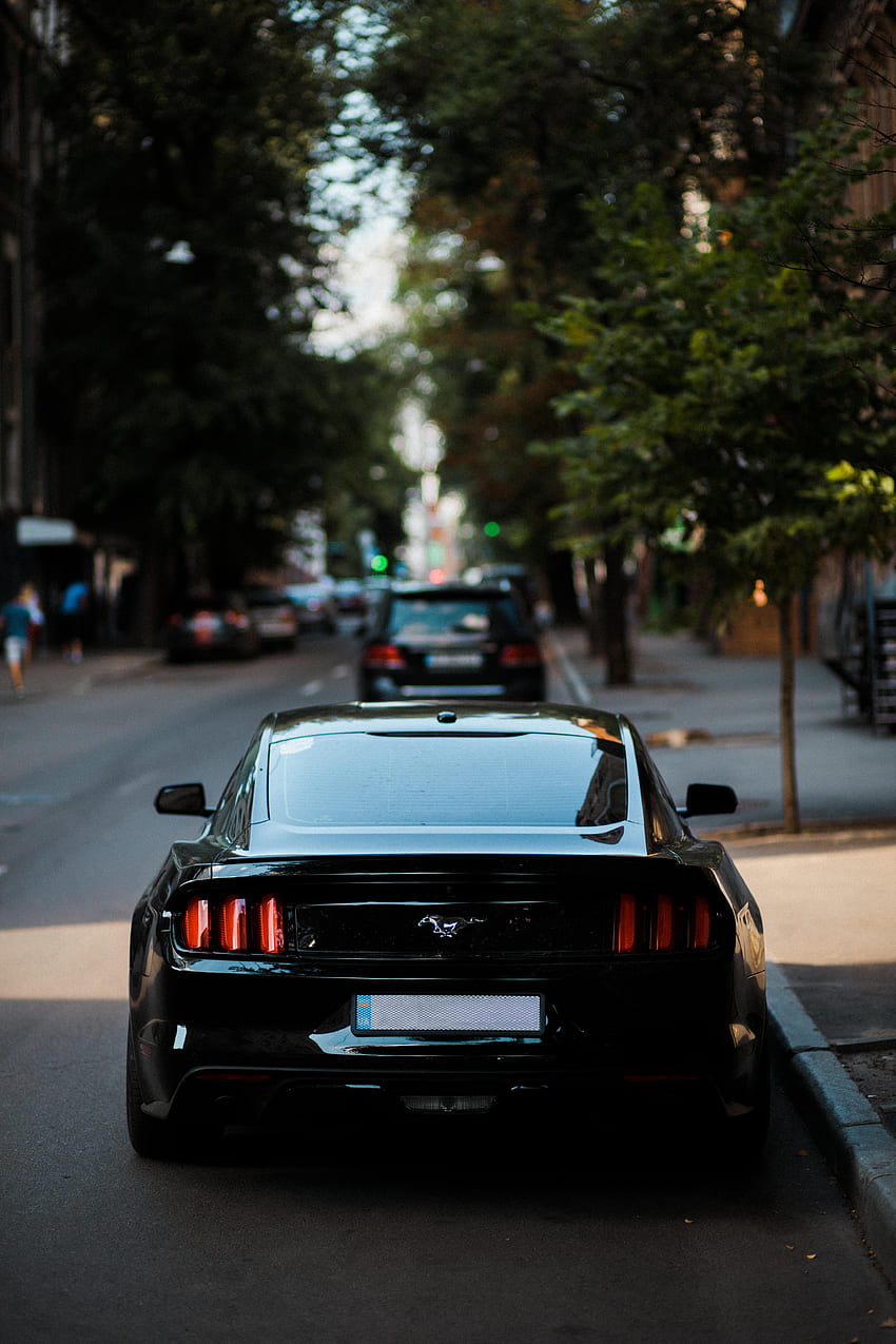 Mustang, Cars, Lights, Car, Back View, Rear View, Headlights HD phone wallpaper
