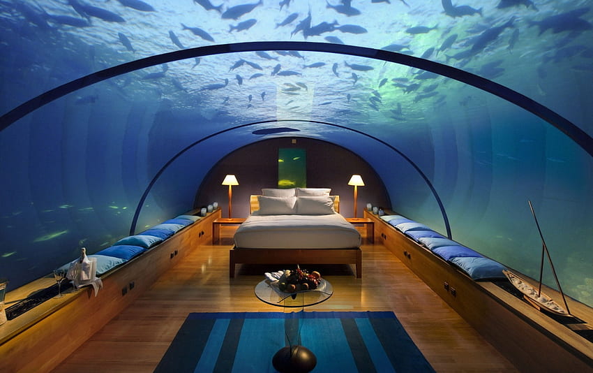 Hotel sottomarino, pesci, camera da letto, vista fantastica, hotel, acqua, sottomarino Sfondo HD