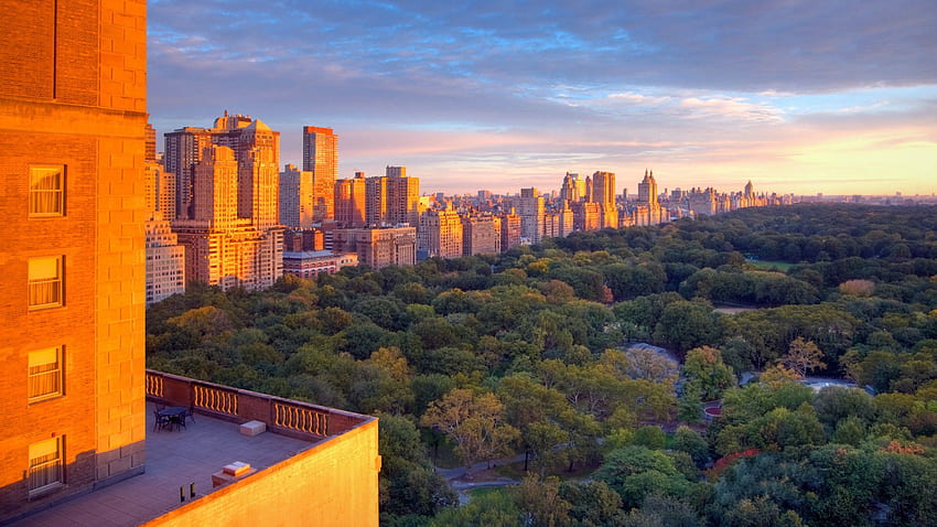 New York Central Park Full ,, Central Park Fall HD wallpaper