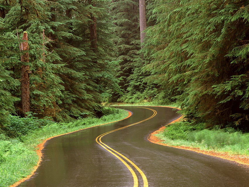 Cool : Road, Beautiful Road HD wallpaper | Pxfuel