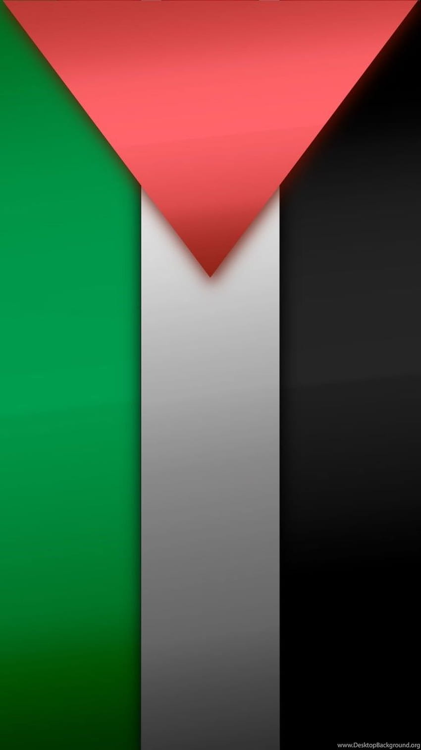 Palestinian Flag For Background, Qatar Flag HD phone wallpaper